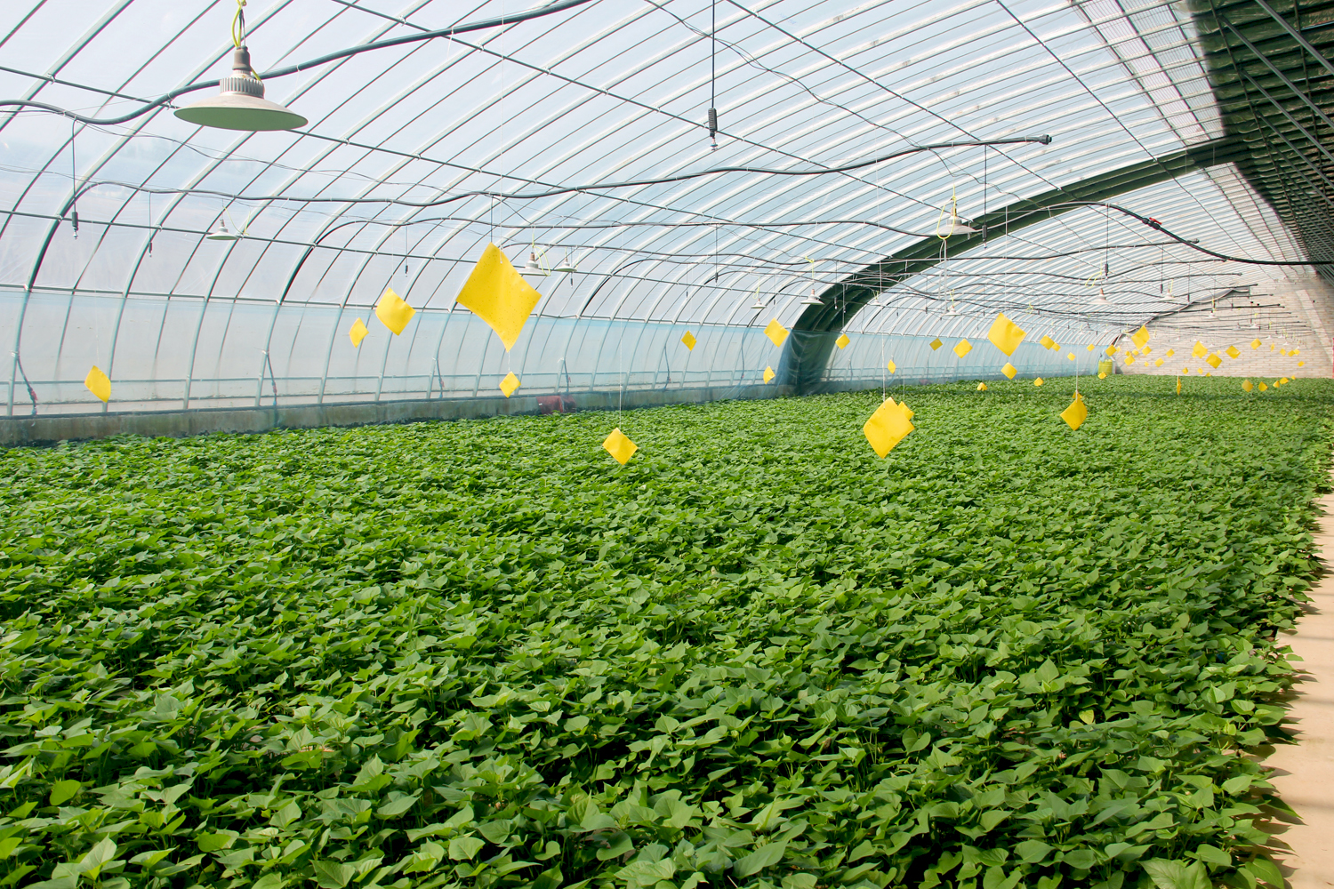 1768704998768172.jpg 3.jpg