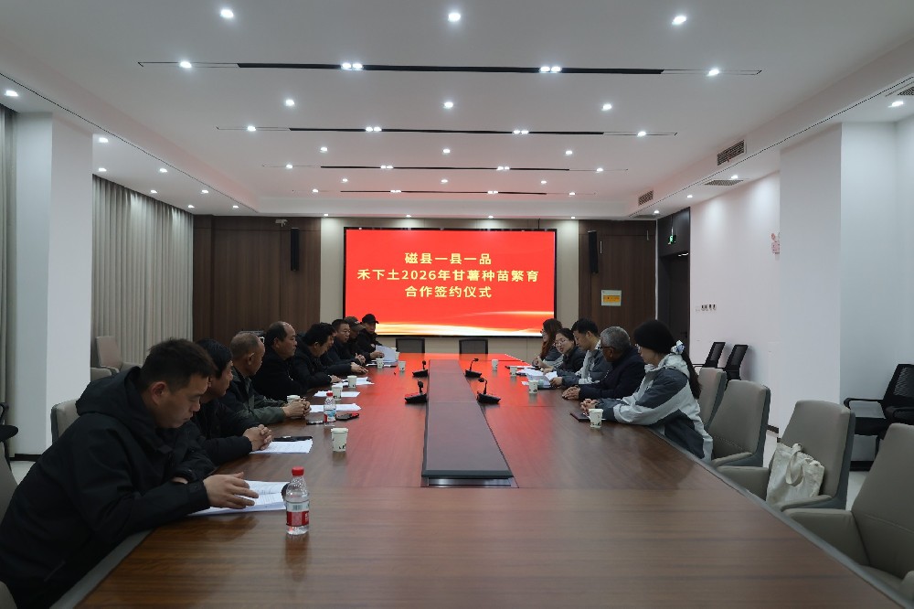 1772356182498545.jpg 1.jpg